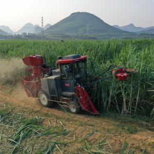 Sugar Cane Agricultural Farm Harvester