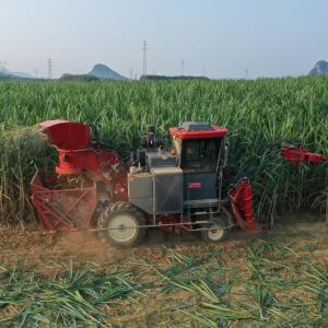 Sugar Cane Agricultural Farm Harvester
