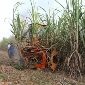 Sugar Cane Agricultural Farm Cutter Machine